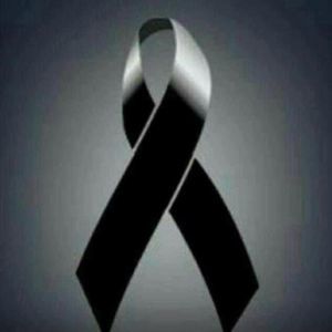 Meet your Posher, Julio